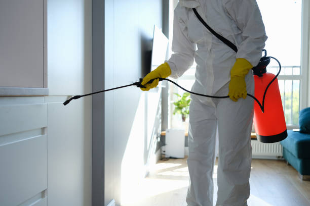Best Certified Mold Removal  in Troy, NC