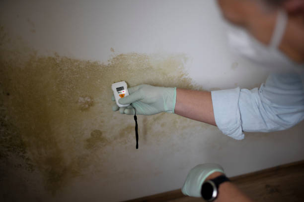 Best Mold Testing  in Troy, NC