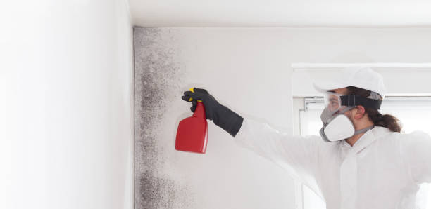 Best Professional Mold Removal  in Troy, NC