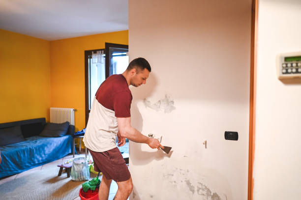 Best Affordable Mold Removal  in Troy, NC