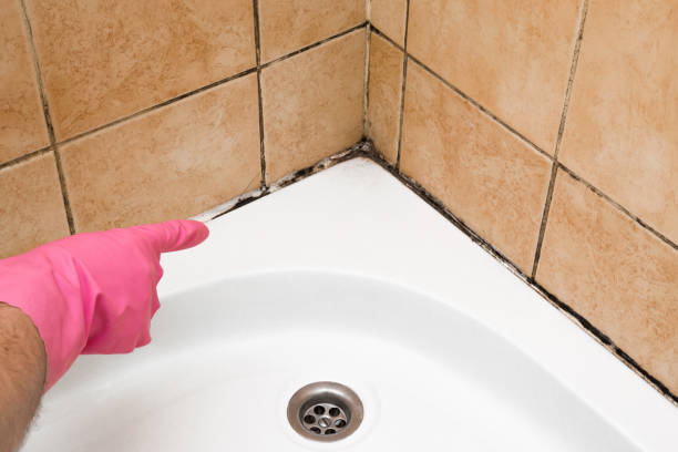 Best Mold Testing  in Troy, NC
